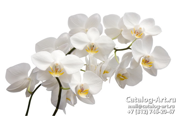 Натяжные потолки с фотопечатью - Белые орхидеи 9
